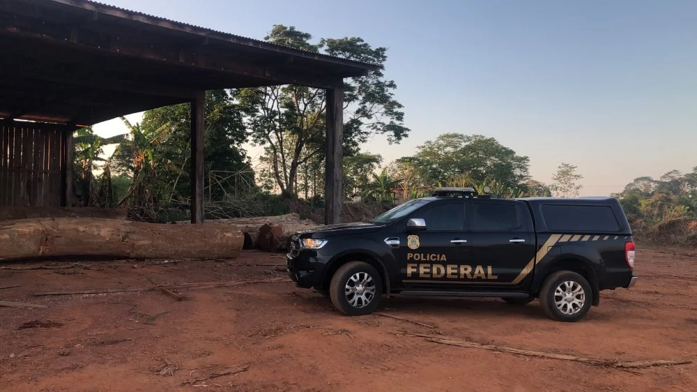 PF investiga uso de empresas e créditos florestais para “legalizar” madeira retirada ilegalmente