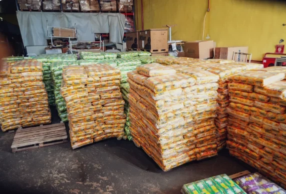 Prefeitura orienta população sobre como solicitar fraldas descartáveis em Porto Velho