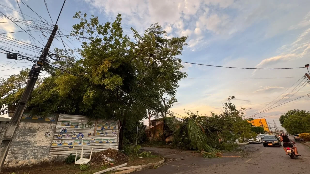 Vereador Edimilson Dourado solicita poda preventiva de árvores na Zona Sul para evitar quedas e desabastecimento de energia